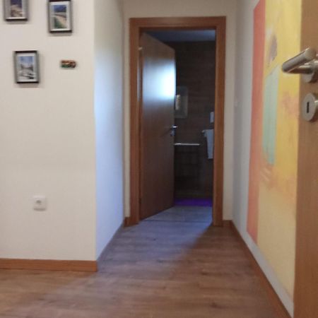 Suites Passadicos Do Paiva E Ponte Suspensa Cinfães Exteriér fotografie